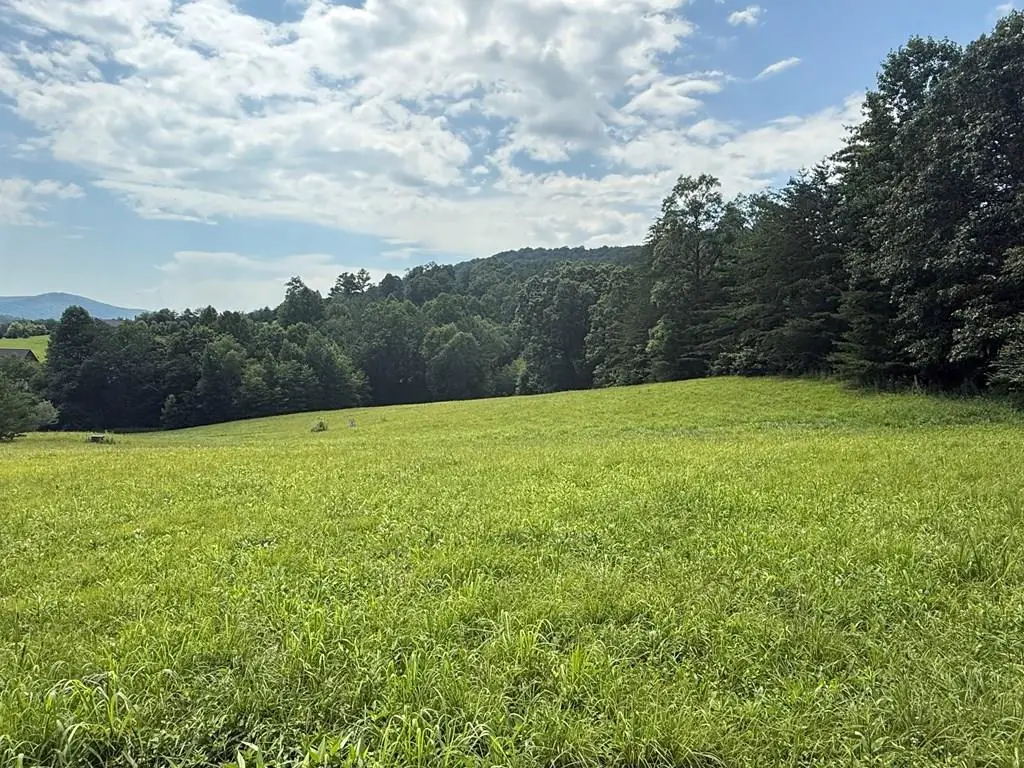 Lot 52 The Preserve At Cc, Young Harris, GA 30582 - #1