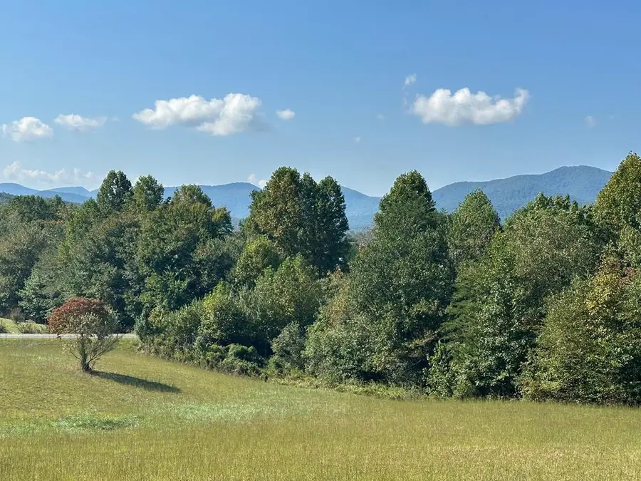 Lot 51 The Preserve At Cc, Young Harris, GA 30582 - #2