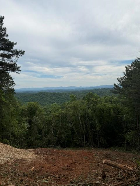 Lot 30 Lookout Drive, Blue Ridge, GA 30513