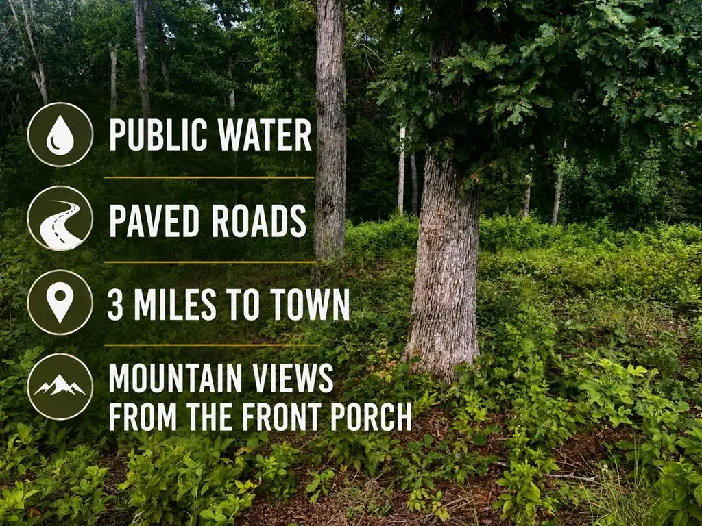 Lot 9 Mystic Dr, Ellijay, GA 30540 - #1