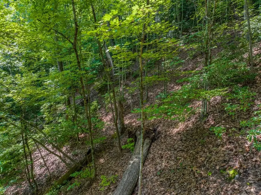 13.01 AC New Stansbury Road, Ducktown, TN 37326 - #3