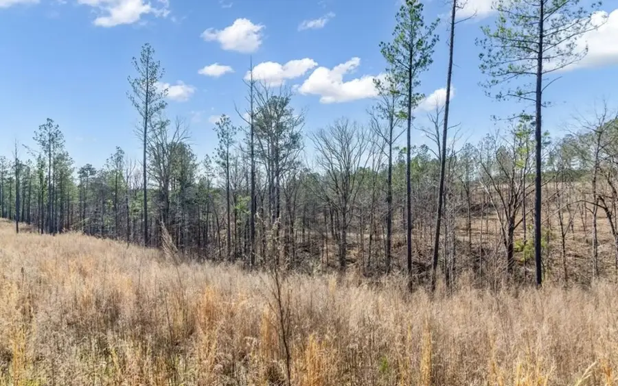 182 Vista Creek Drive, Talking Rock, GA 30175 - #3