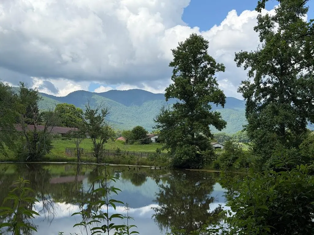 Lot 90 Shiloh Stables, Hayesville, NC 28904 - #1