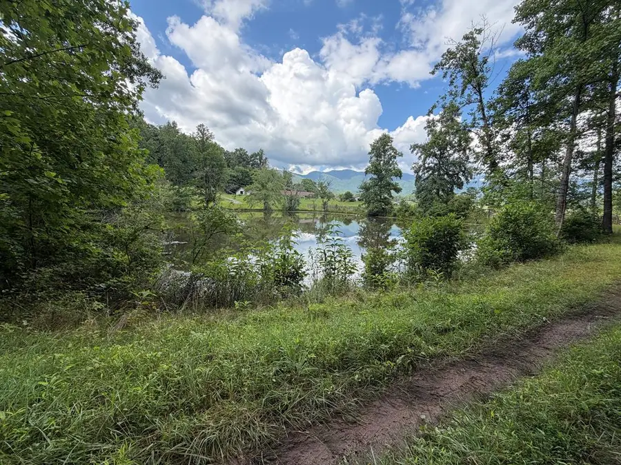 Lot 90 Shiloh Stables, Hayesville, NC 28904 - #2