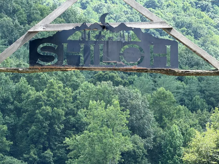 Lot 90 Shiloh Stables, Hayesville, NC 28904 - #3
