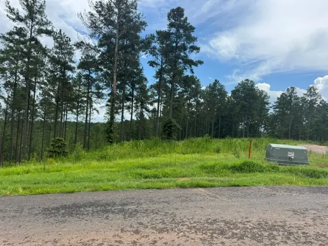 Lot 88 Springfield Parkway, Ellijay, GA 30540 - #2