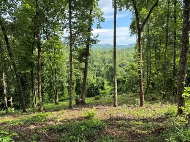 Lot 25 Bryson Creek, Murphy, NC 28906 - #3