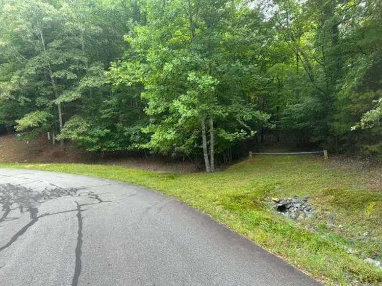 2 Thunder Road, Hayesville, NC 28904 - #2