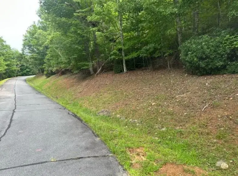 2 Thunder Road, Hayesville, NC 28904 - #3