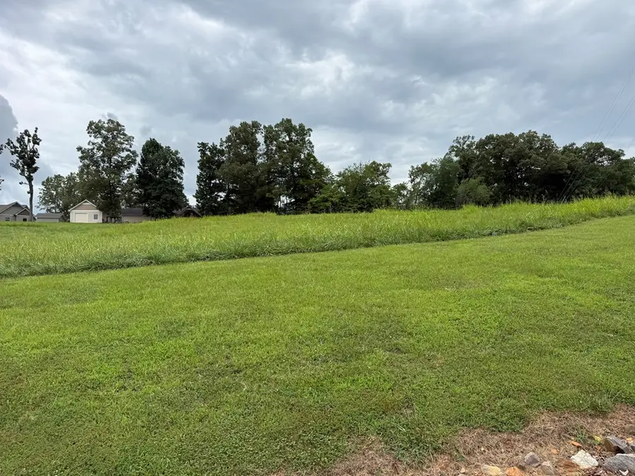 LOT 3 Viewpoint Lane, Blairsville, GA 30512 - #2