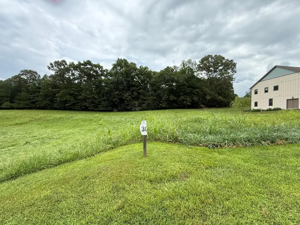 LOT 30 The Grove @ Highland, Blairsville, GA 30512 - #1