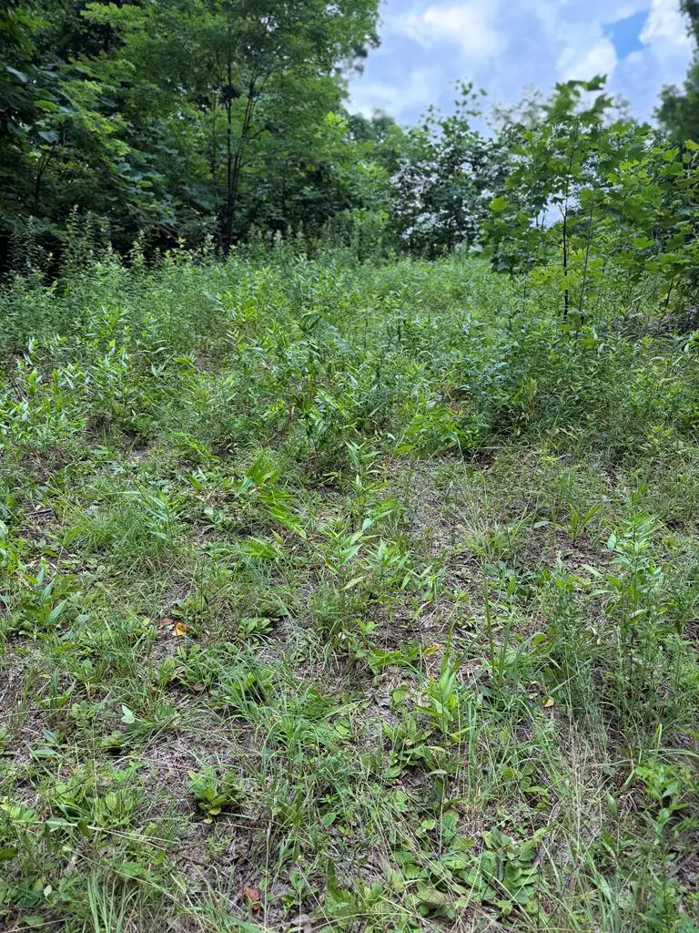 0 Outlook Road, Murphy, NC 28906 - #1