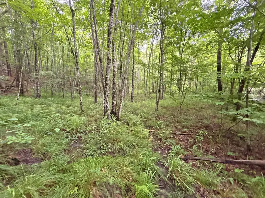 20AC Yonder Way, Talking Rock, GA 30175 - #3
