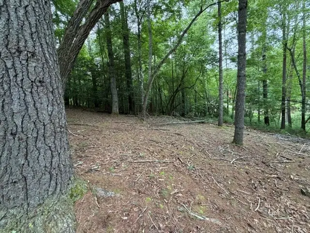 Lot 25 Bentwood Trail, Morganton, GA 30560 - #2