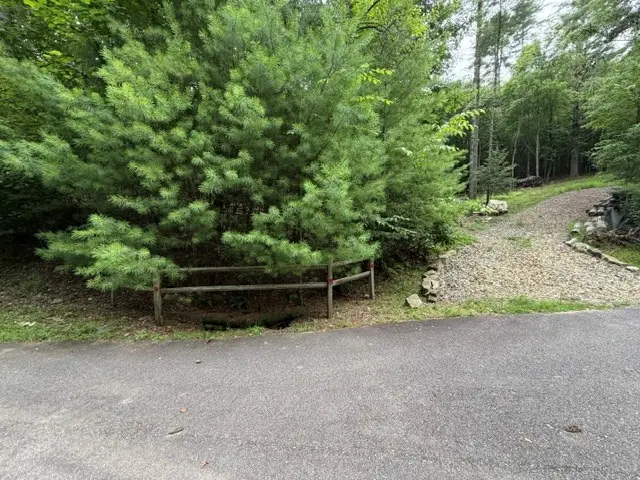 Lot 25 Bentwood Trail, Morganton, GA 30560 - #3