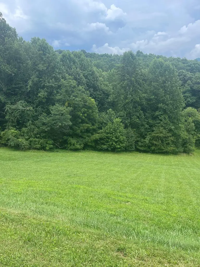 Lot 22C Ash Branch Circle, Hayesville, NC 28904 - #1