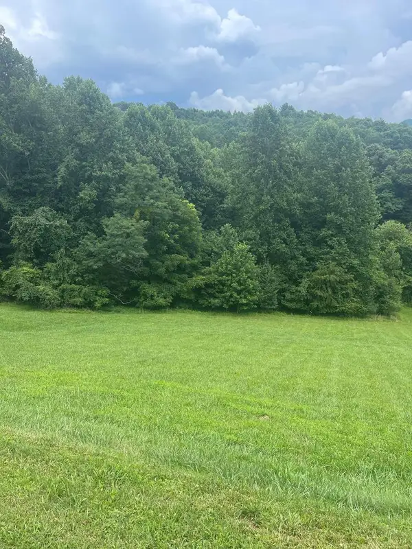 Lot 22C Ash Branch Circle, Hayesville, NC 28904