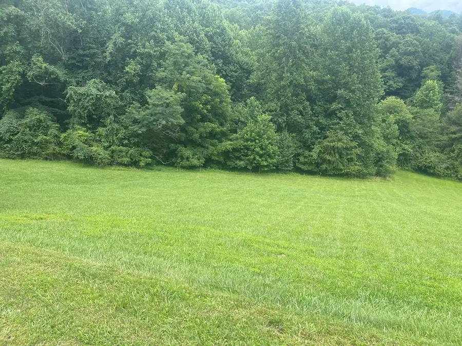 Lot 22C Ash Branch Circle, Hayesville, NC 28904 - #2