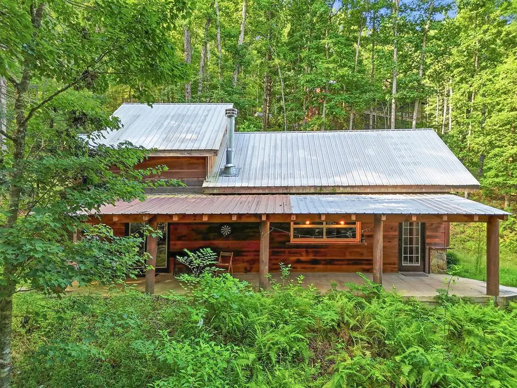 50 Pigeon Creek Road, Blue Ridge, GA 30513 - #1