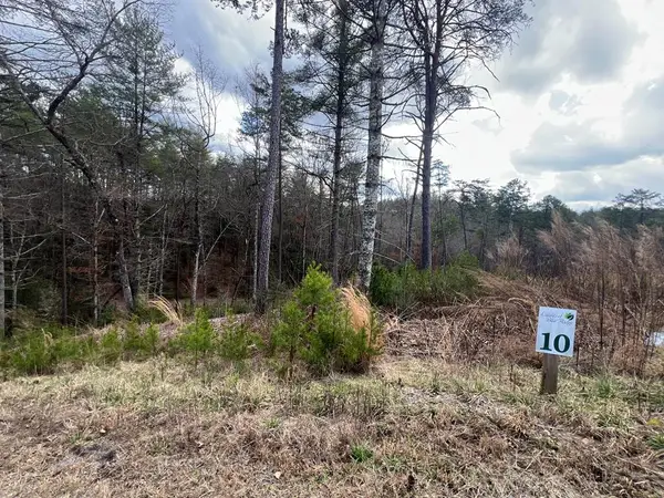 Lot 10 Mountain Laurel Ridge, Mineral Bluff, GA 30559
