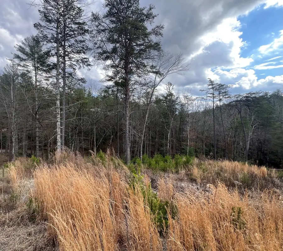 Lot 10 Mountain Laurel Ridge, Mineral Bluff, GA 30559 - #3