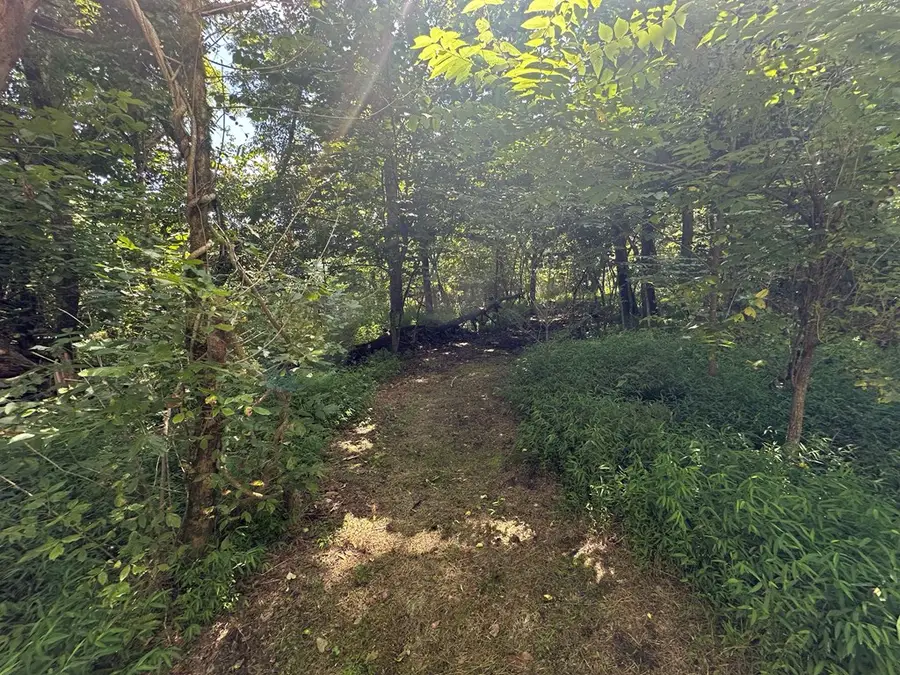 Lots 5&6 Qualla Terrace, Hayesville, NC 28904 - #2