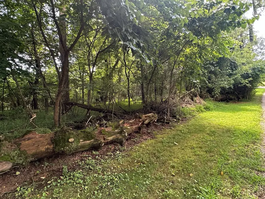 Lots 5&6 Qualla Terrace, Hayesville, NC 28904 - #3