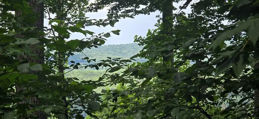 Lot 7 Scouts Overlook, Morganton, GA 30560 - #2