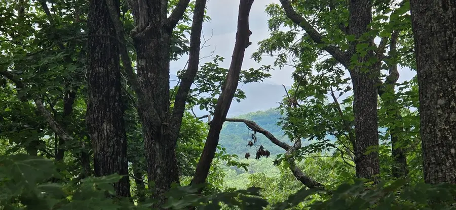 Lot 7 Scouts Overlook, Morganton, GA 30560 - #3