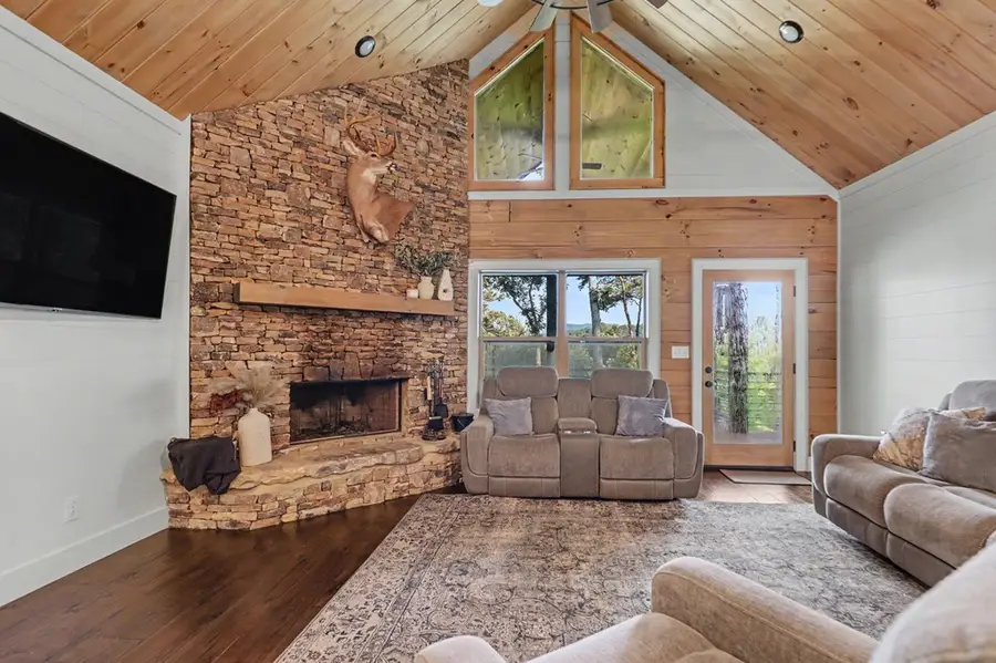 240 Pink Pig Lane, Cherry Log, GA 30522 - #3