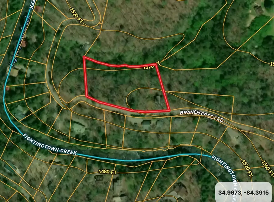 337 Branch Creek Road, Blue Ridge, GA 30513 - #2