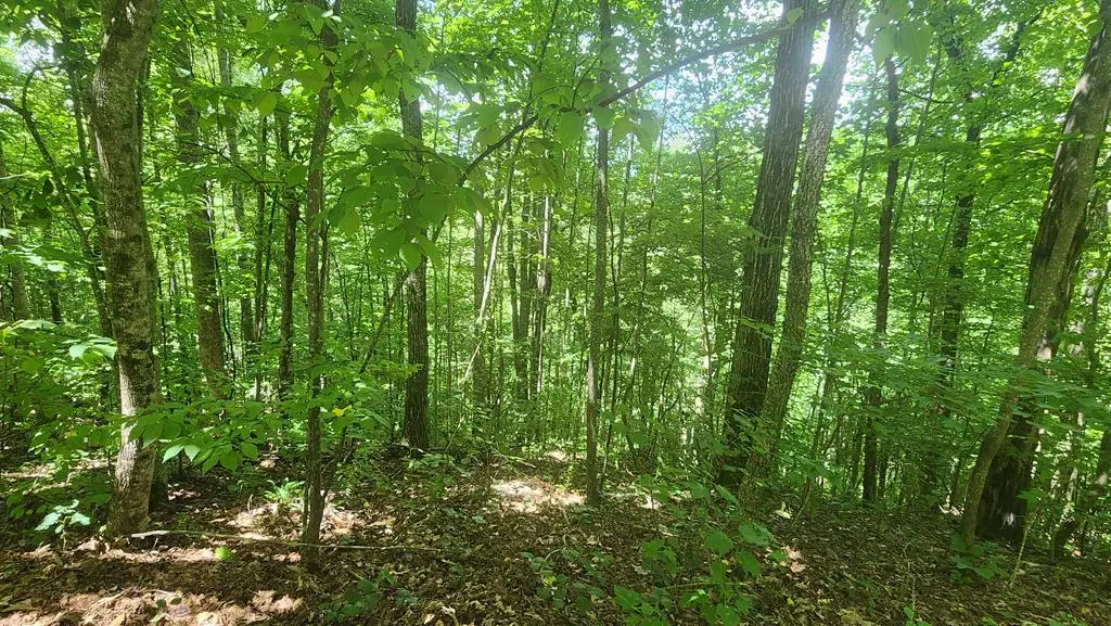 lot 15 Roaring Ridge Trail, Hiawassee, GA 30546 - #1