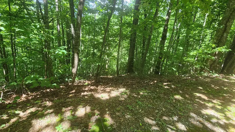 lot 15 Roaring Ridge Trail, Hiawassee, GA 30546 - #2
