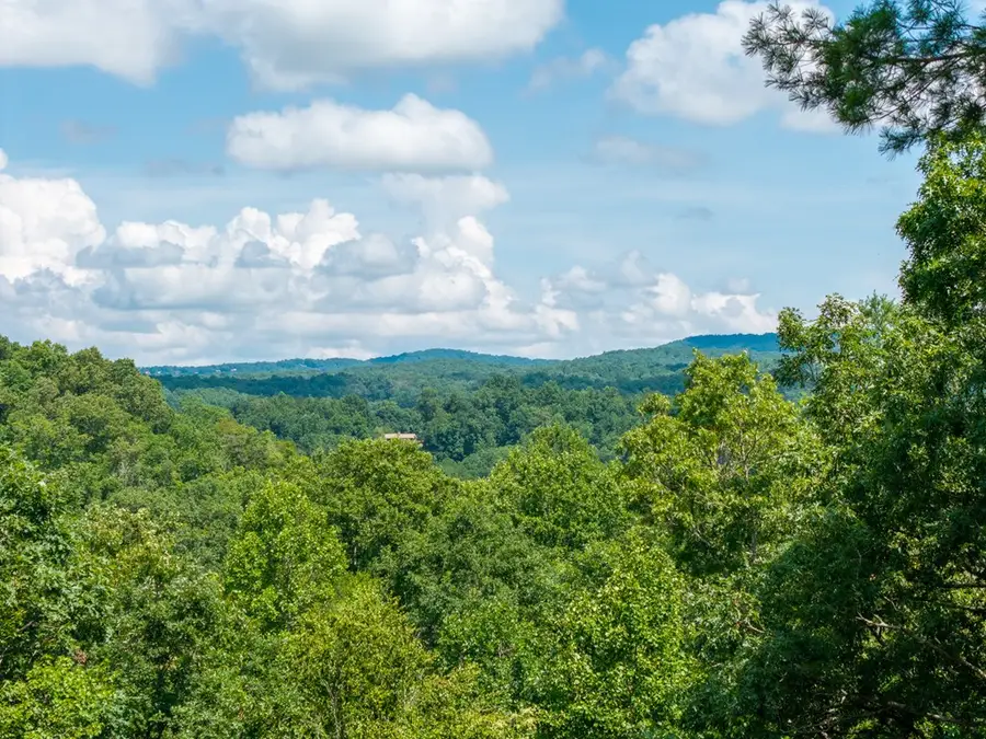 66 Briar Creek Court, Morganton, GA 30560 - #2