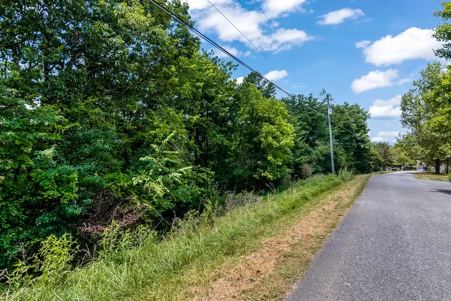 34/36 Talona Mountain Road, Ellijay, GA 30536 - #2