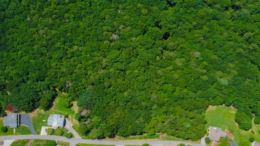 34/36 Talona Mountain Road, Ellijay, GA 30536 - #3