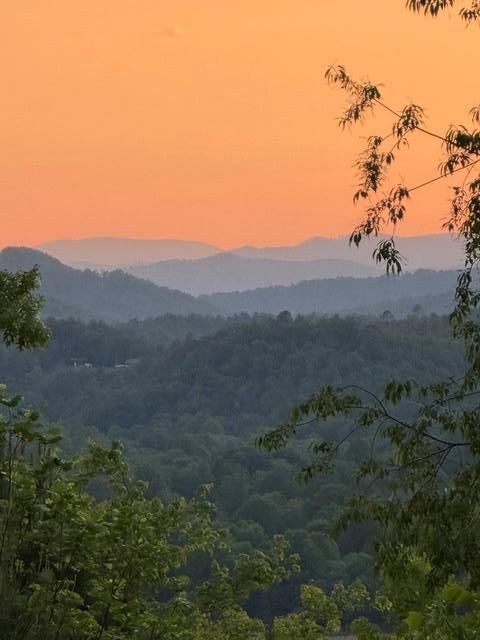 0 Tusquittee Road, Hayesville, NC 28904