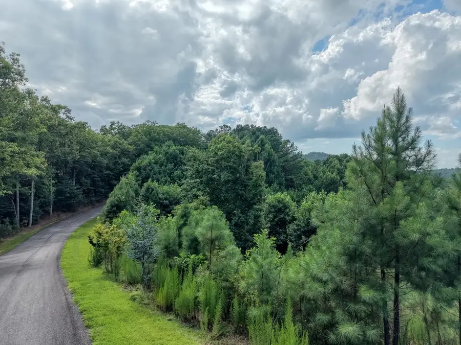 Lot 83 Ridge Peak View, Blairsville, GA 30512 - #2