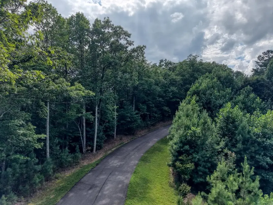 Lot 83 Ridge Peak View, Blairsville, GA 30512 - #3
