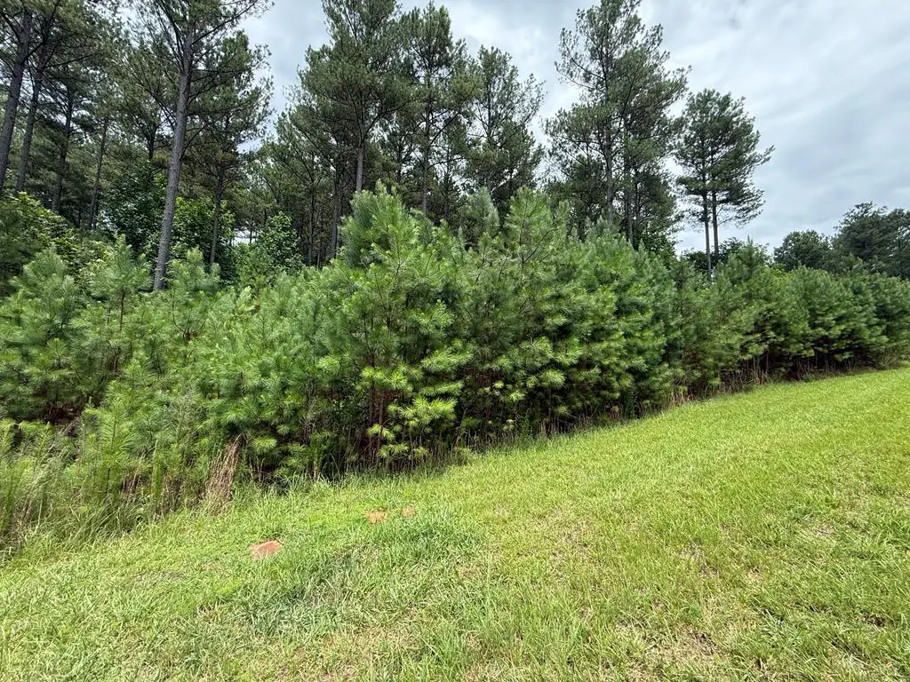 LOT 174 The Stables Loop, Blairsville, GA 30512 - #1
