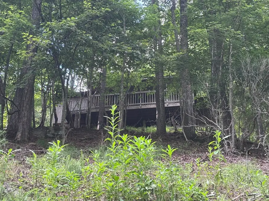 1163 Tipton Springs Road, Morganton, GA 30560 - #3