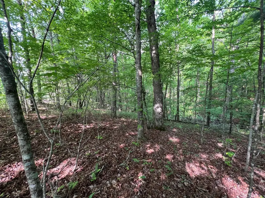 9 + Acre Leonard Lane, Murphy, NC 28906 - #2