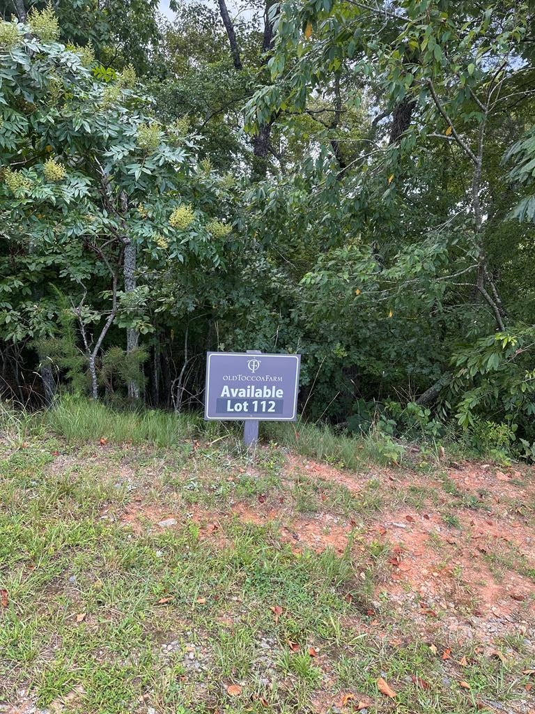 Lot 112 Fawn Way, Mineral Bluff, GA 30536 - #1