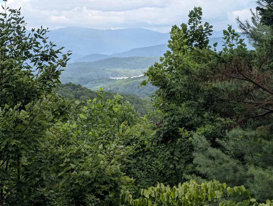 100 Sourwood Lane, Hayesville, NC 28904 - #3