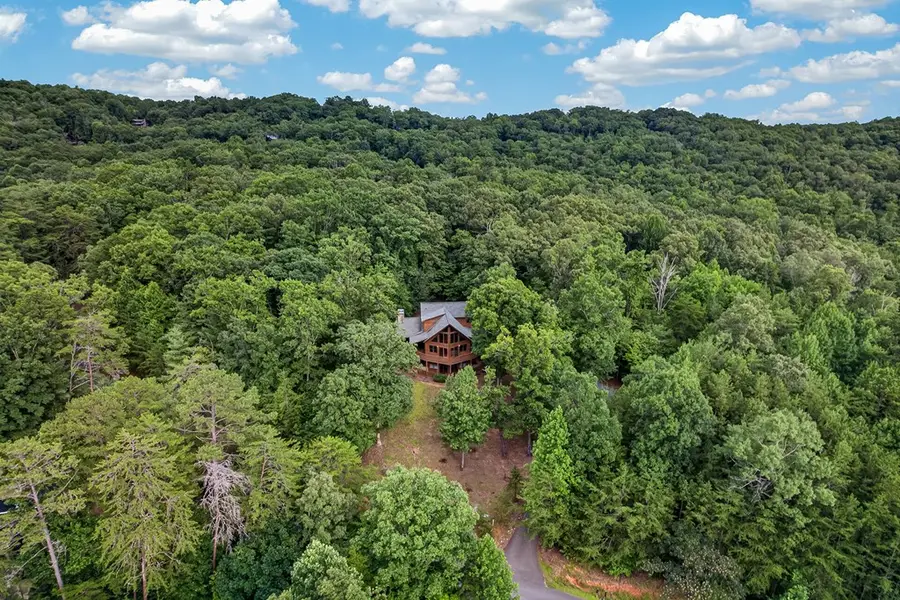 23 Dolores Drive, Mineral Bluff, GA 30559 - #3