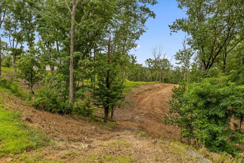 Lot 9 High Summit Drive, Talking Rock, GA 30175 - #1