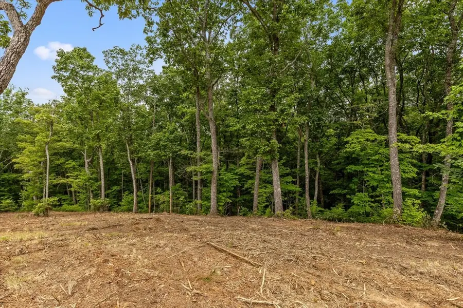 Lot 9 High Summit Drive, Talking Rock, GA 30175 - #3