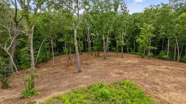Lot 92 Timberline Trail, Talking Rock, GA 30175
