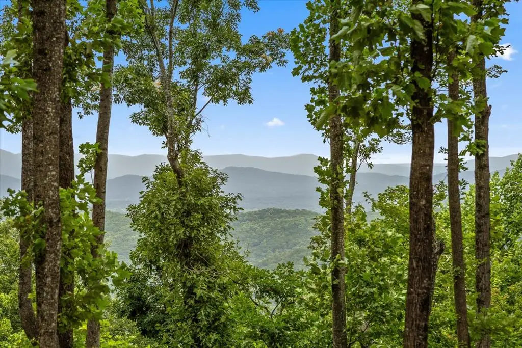 Lot 374 N Mountain Ridge Road, Talking Rock, GA 30175 - #1