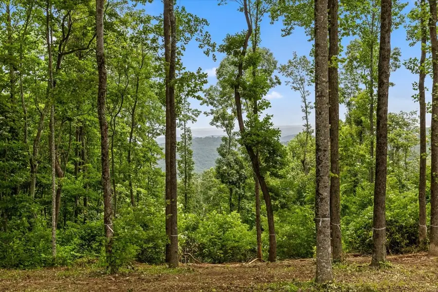 Lot 374 N Mountain Ridge Road, Talking Rock, GA 30175 - #2
